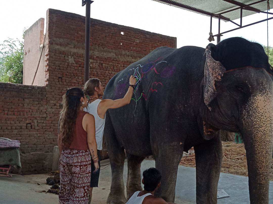 Jaipur Private Cab景点图片