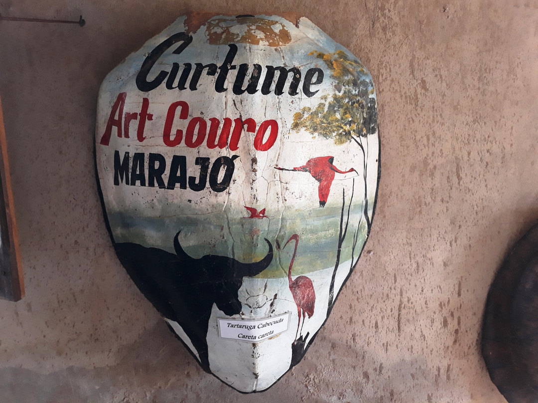 Curtume Art Couro Marajo景点图片