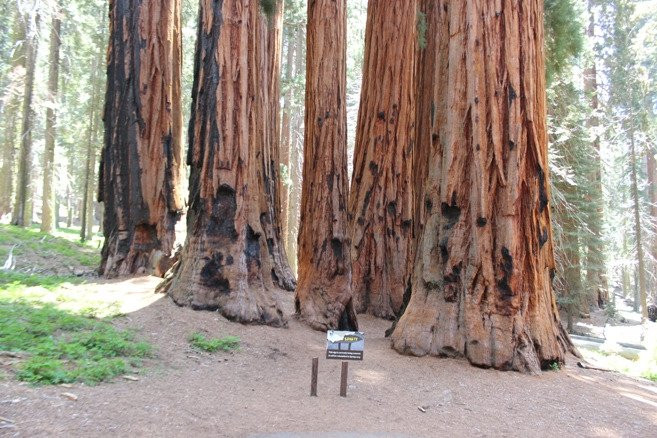 The Senate-Three Rivers必去景点