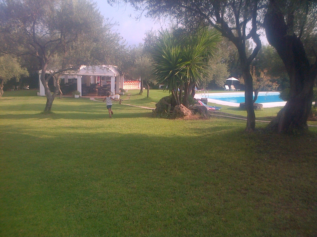 Saint Nicholas Hotel主图