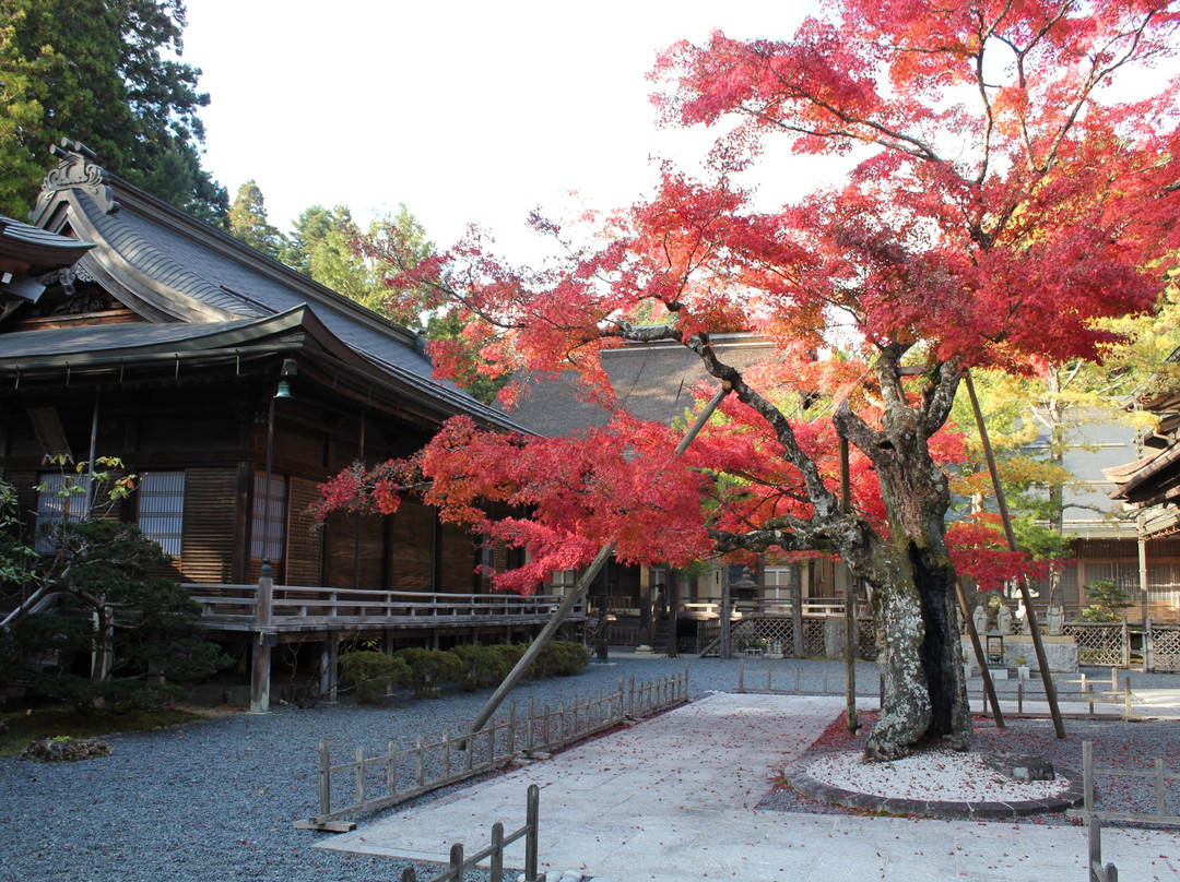 Ryusen-in Temple-高野町必去景点