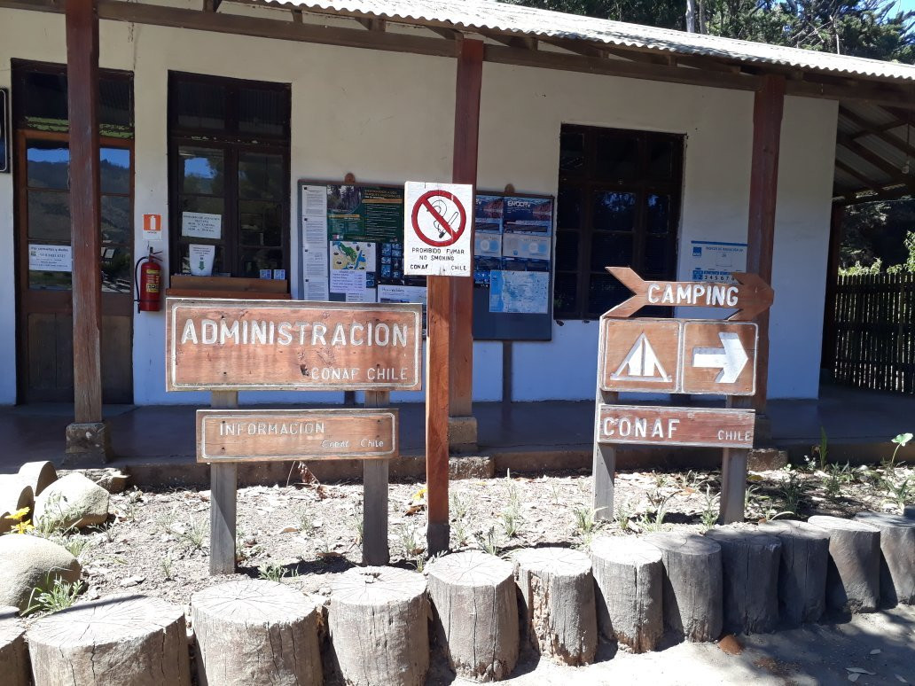 Reserva Nacional Laguna Torca景点图片