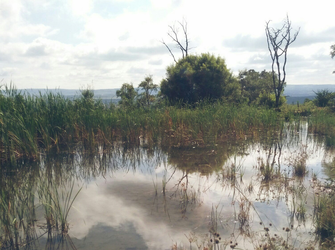 Hedianga Farm-比勒陀利亚必去景点
