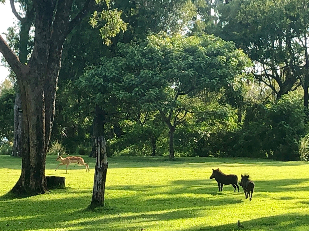 Wenhau Safaris & Tours-哈拉雷必去景点