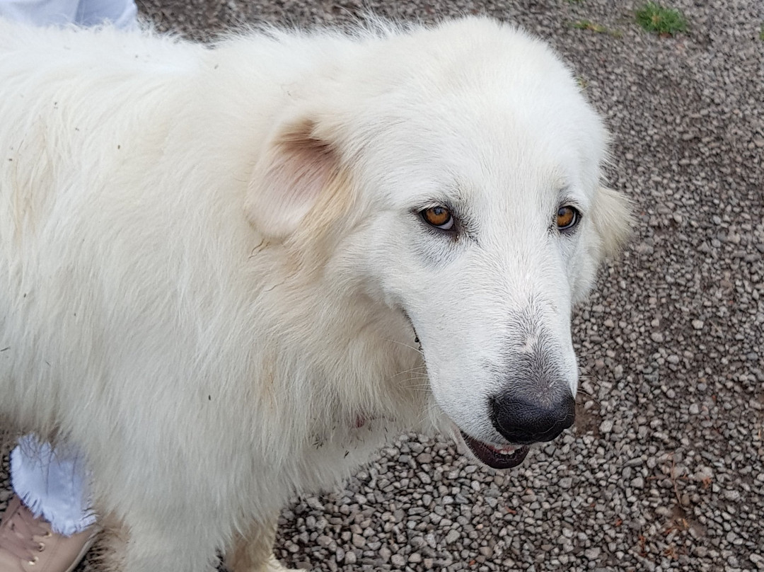 Vistamontes Vinicola-本图贡萨尔维斯必去景点