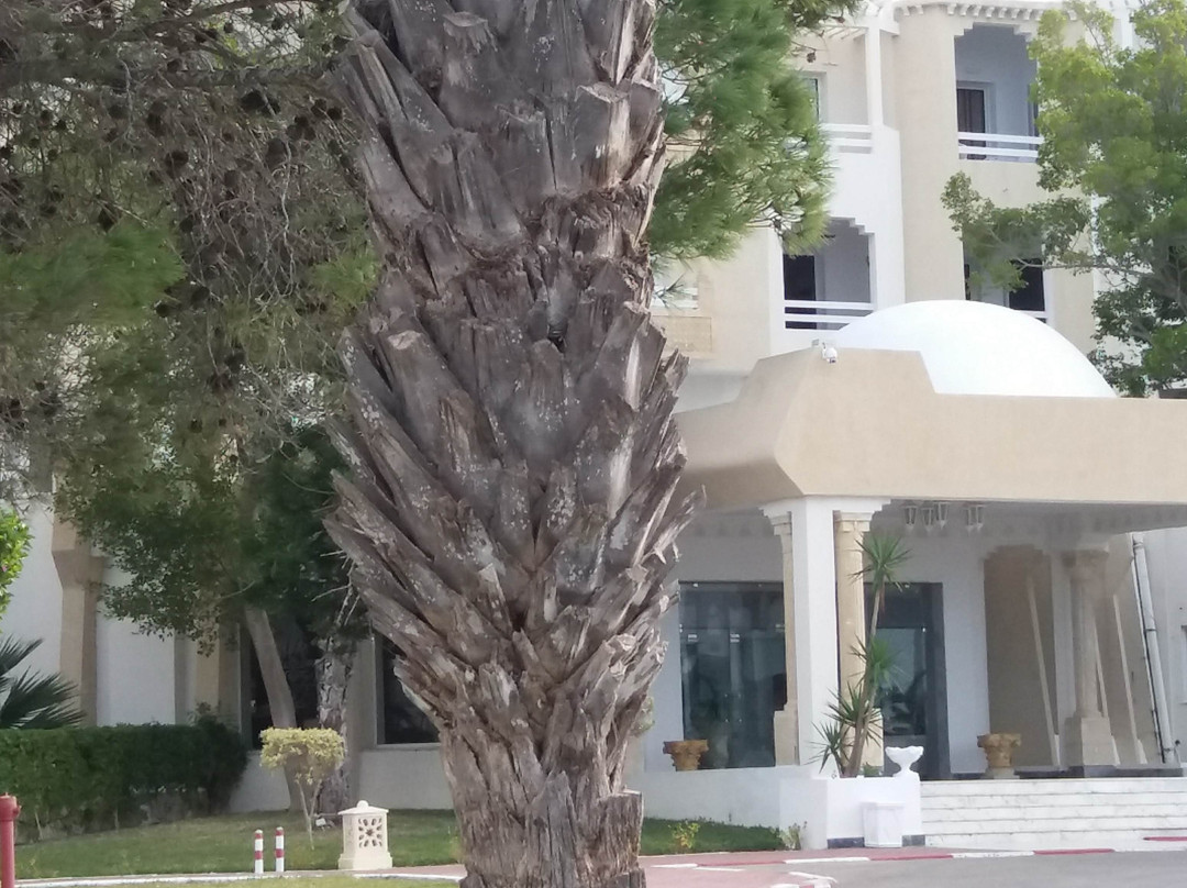 Club Thapsus Hotel主图