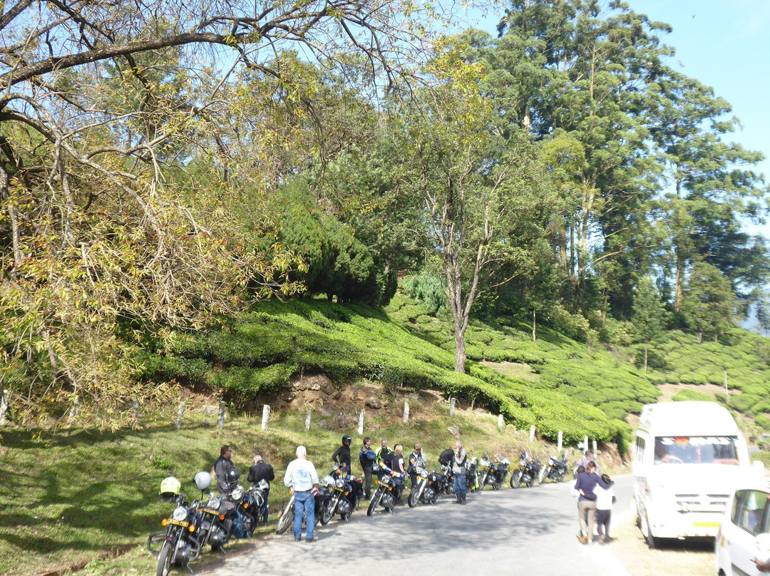 Indian Motorcycle Tours景点图片
