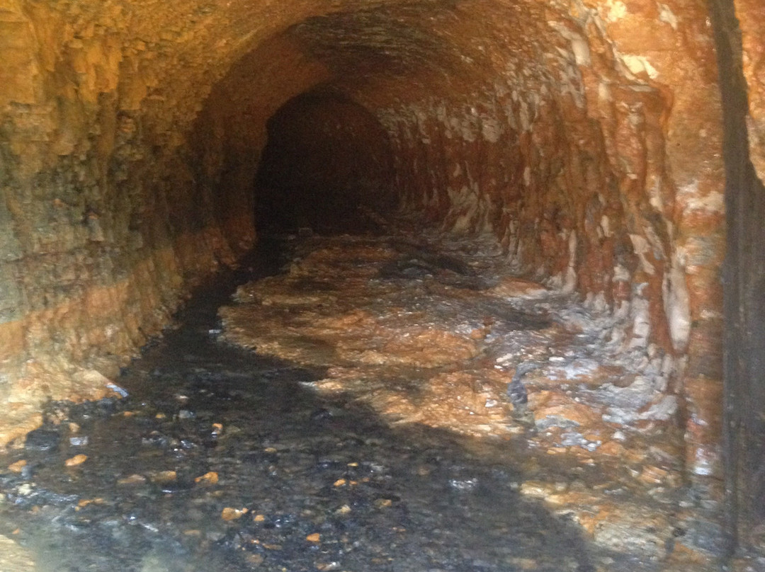 MannCave Distilling Inc.-Weston必去景点