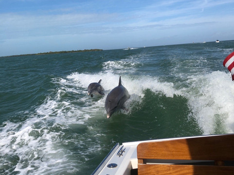Downeast Charters-Cape Haze必去景点