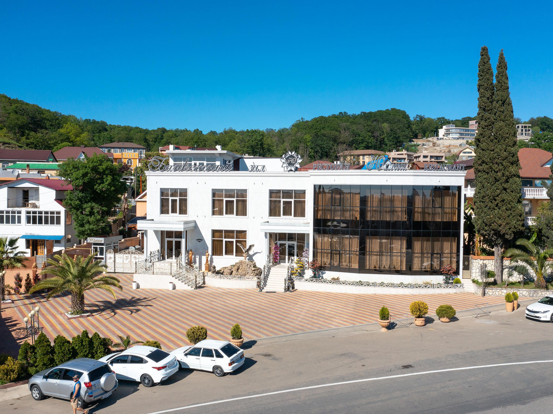 Verkhneveseloye餐馆和美食-Restaurant Yuzhny