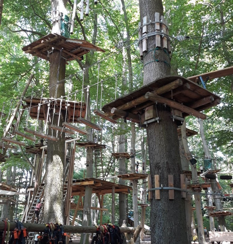Fun Forest Abenteuerpark Offenbach-奥芬巴赫必去景点