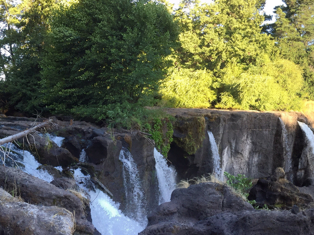 Hotel Salto Del Laja Resort Ecologico