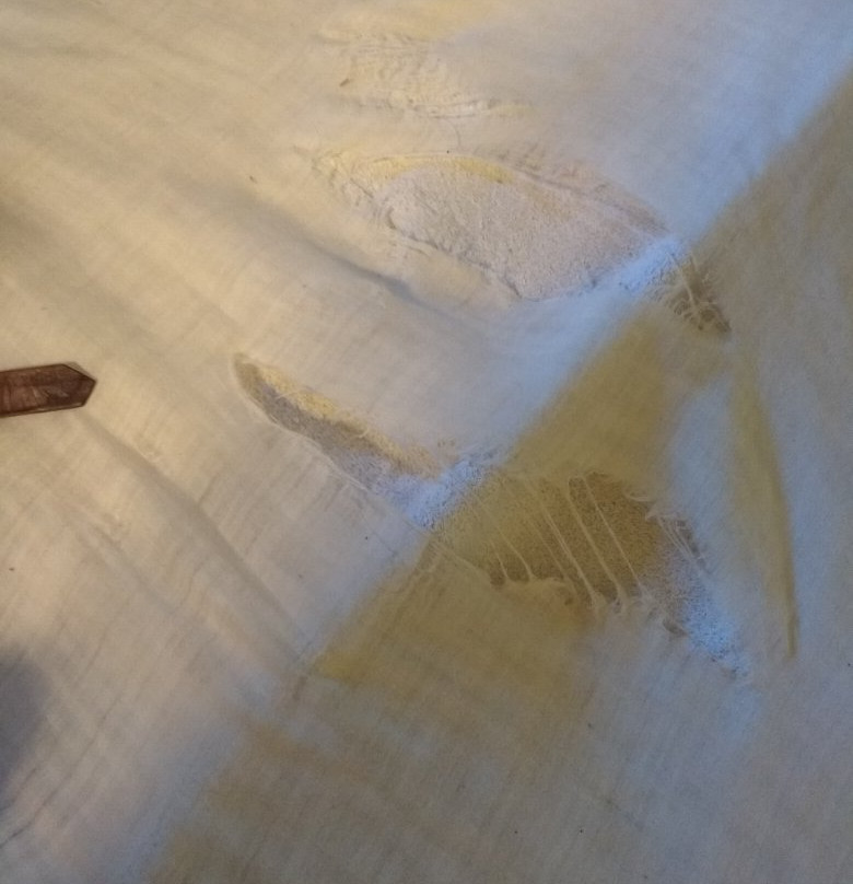 Fonda Ca l'Abel主图