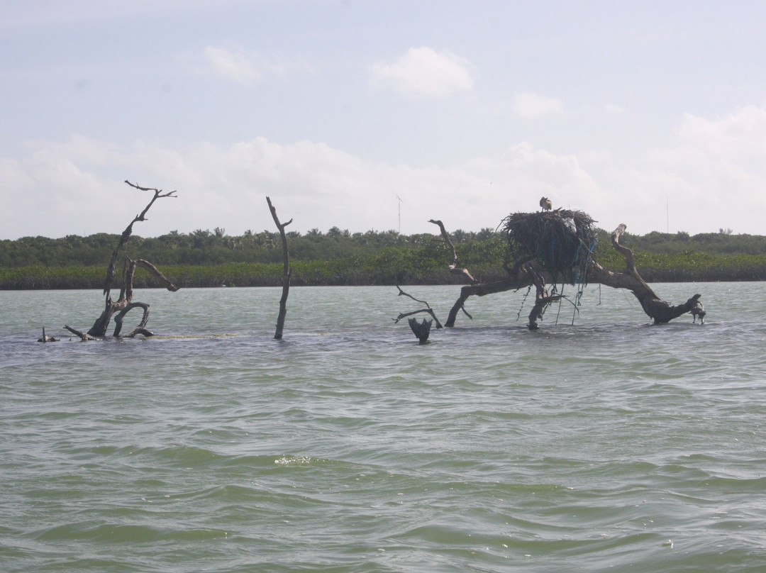 Sukun Rivera Maya Tours-图伦必去景点