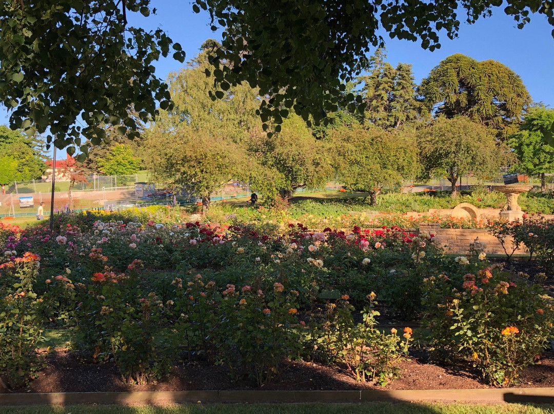 University Rose Garden景点图片