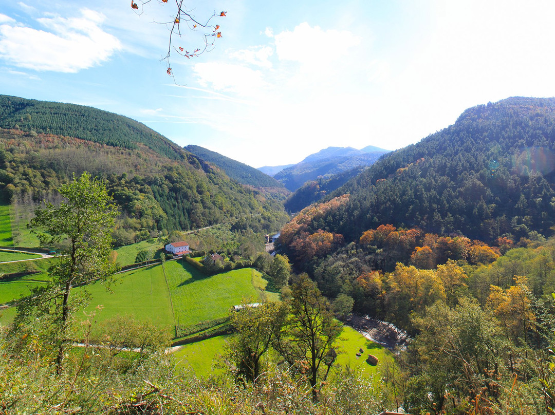 Leitzaran Bisitarien Etxea