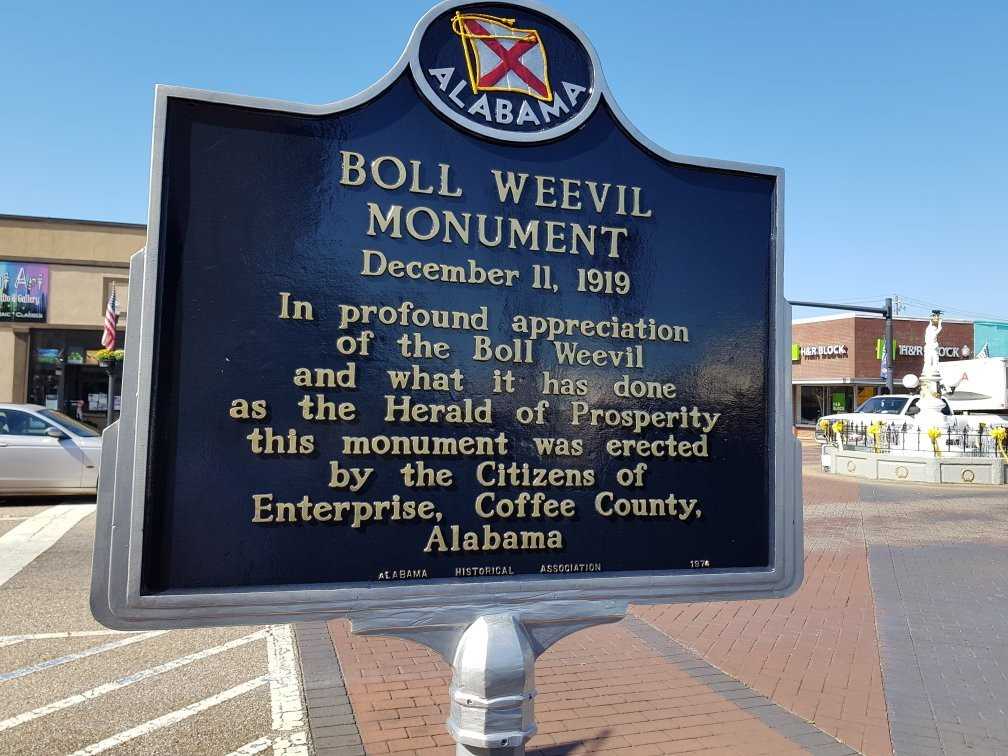 Boll Weevil Monument景点图片