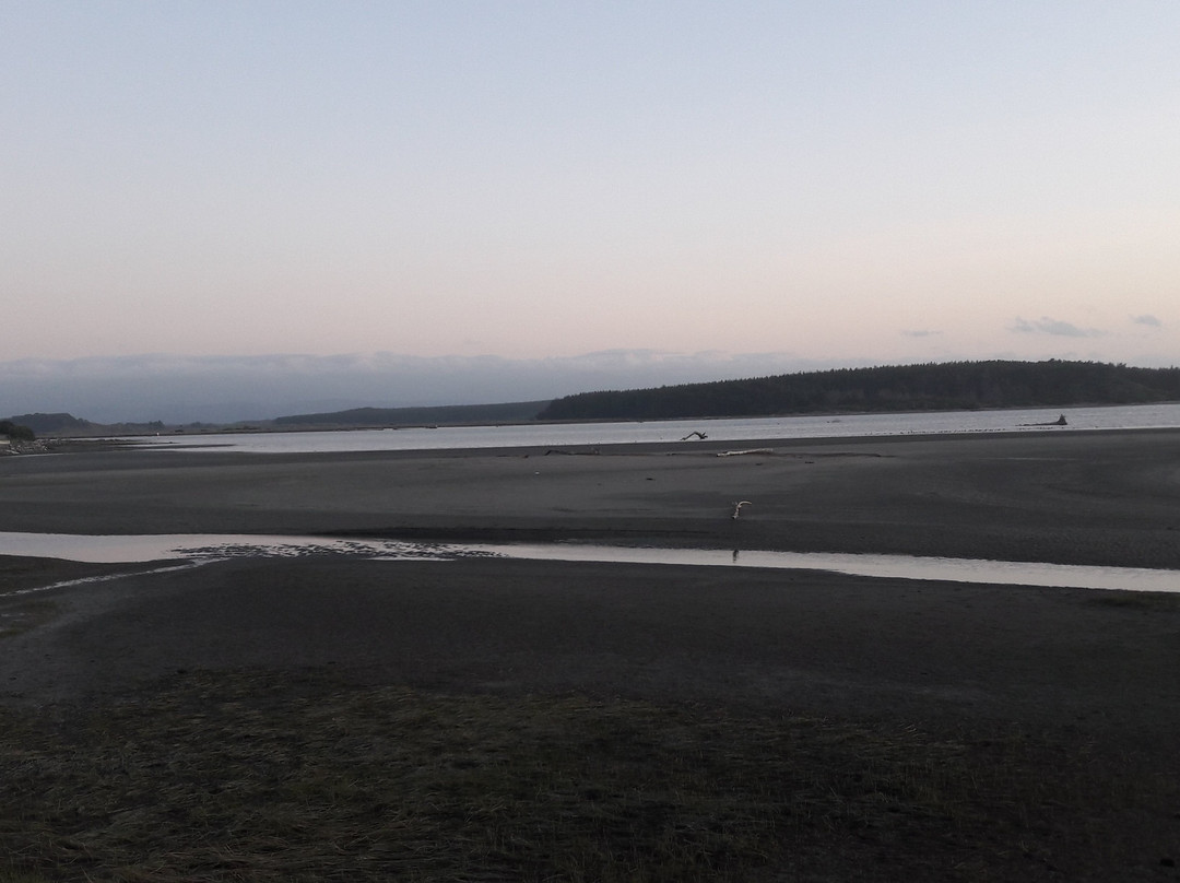 Foxton Beach Motel主图