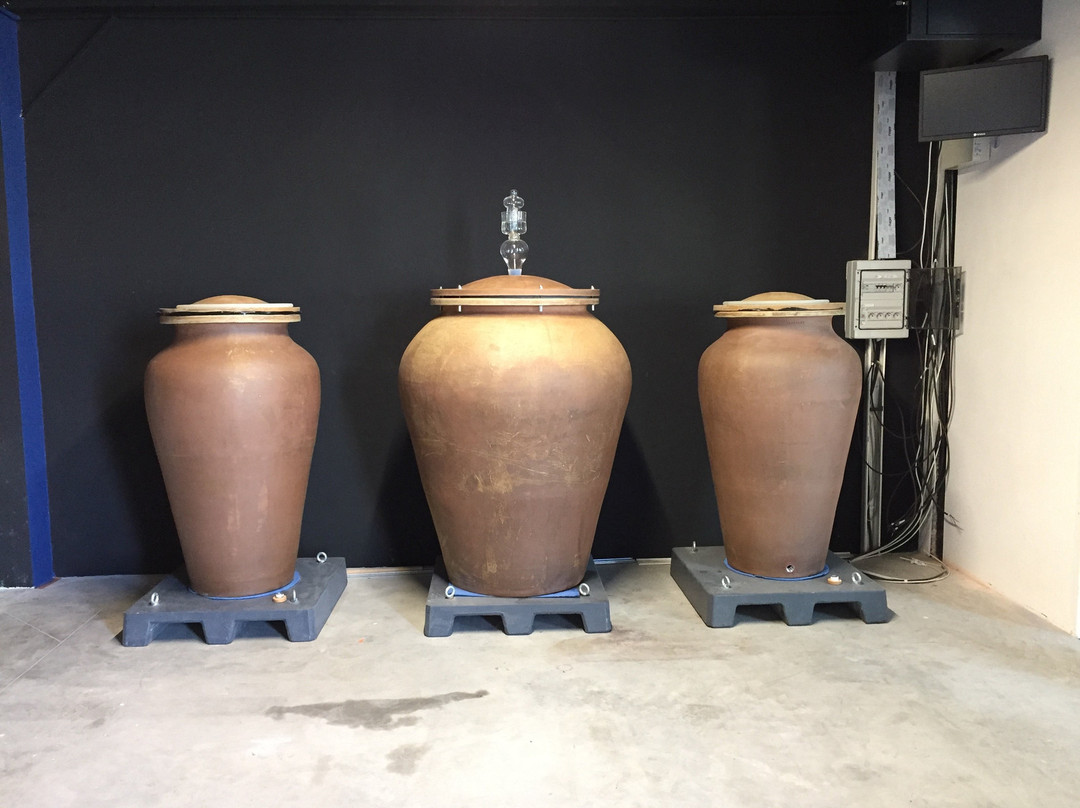 Domaine Pelletier景点图片