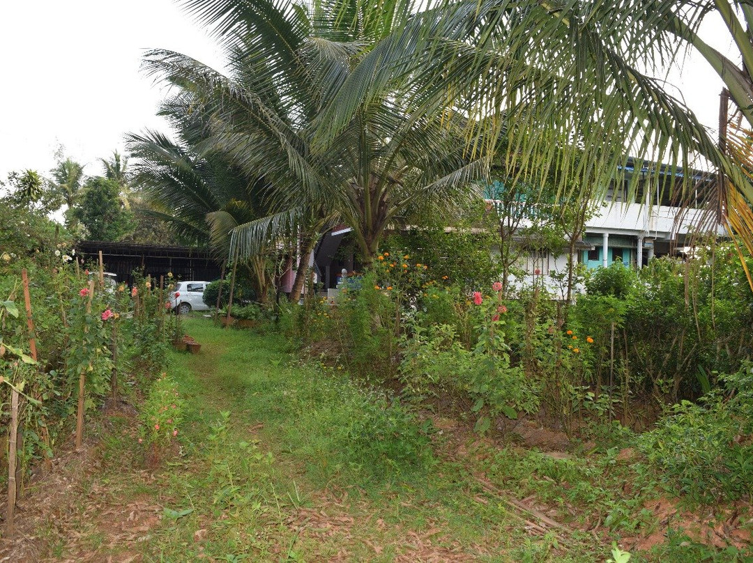 Ibbani Homestay主图