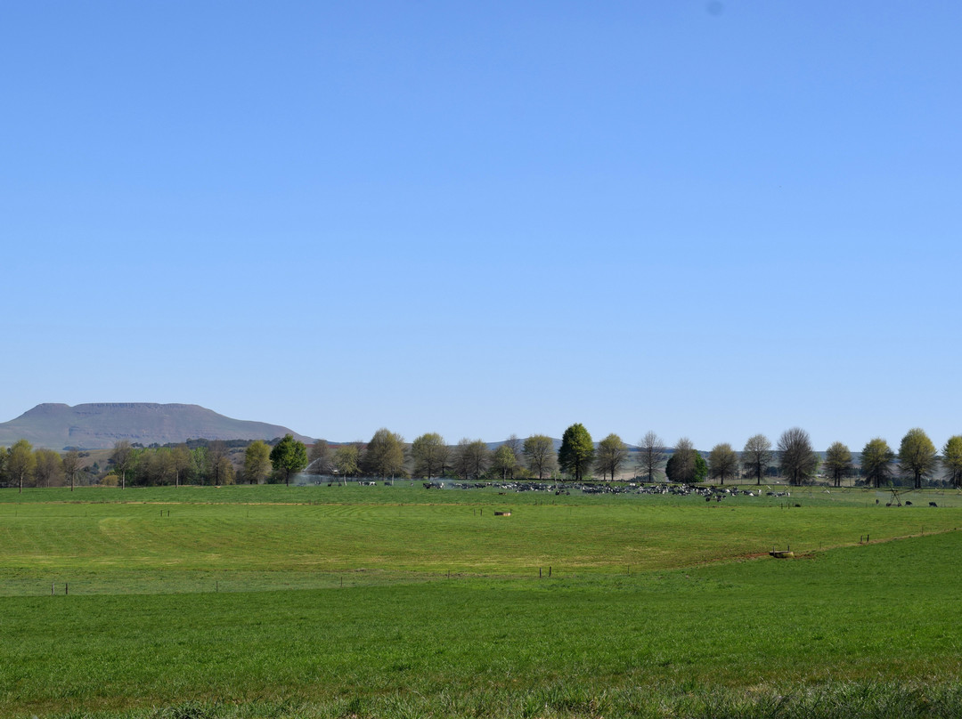 Elgin Guesthouse & Farm主图