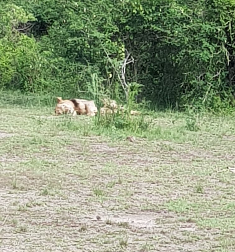 The Great Trekkers Safaris-恩德培必去景点