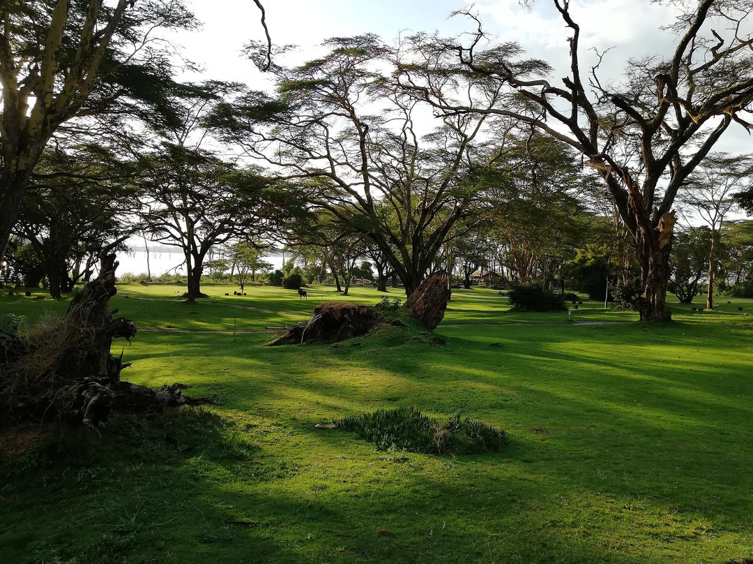 纳瓦沙湖乡村俱乐部主图