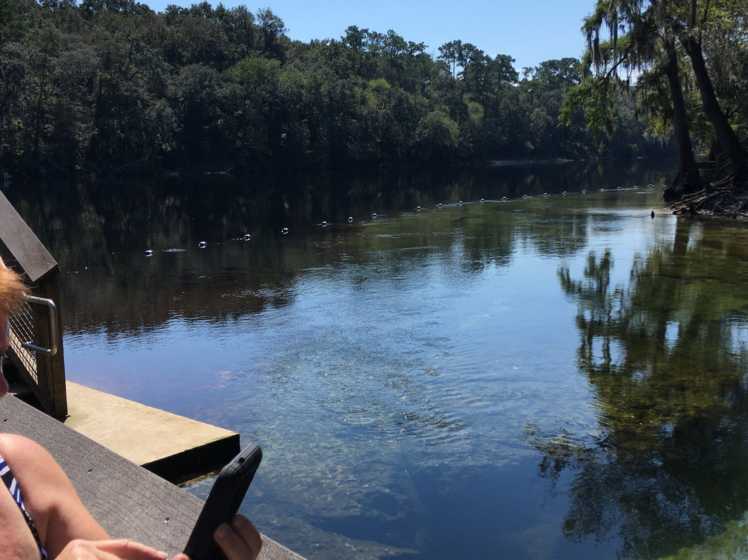 Lafayette Blue Springs State Park-Mayo必去景点
