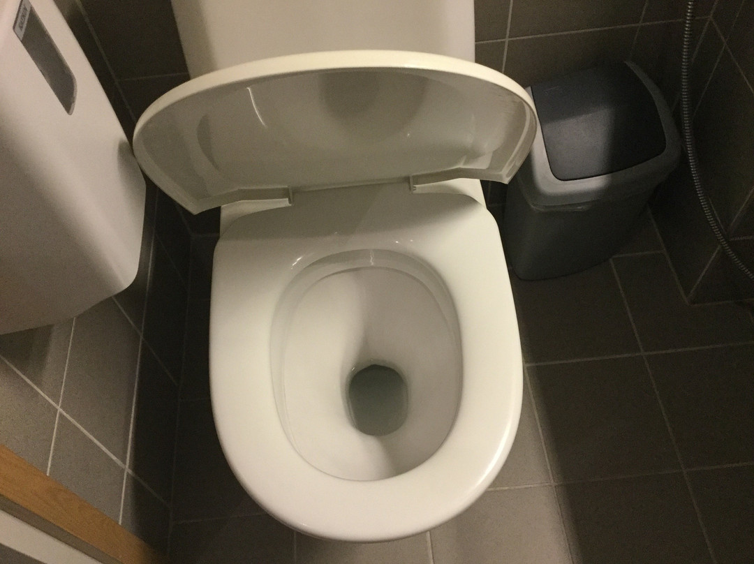 Ski-Inn Hotel Pyhätunturi主图