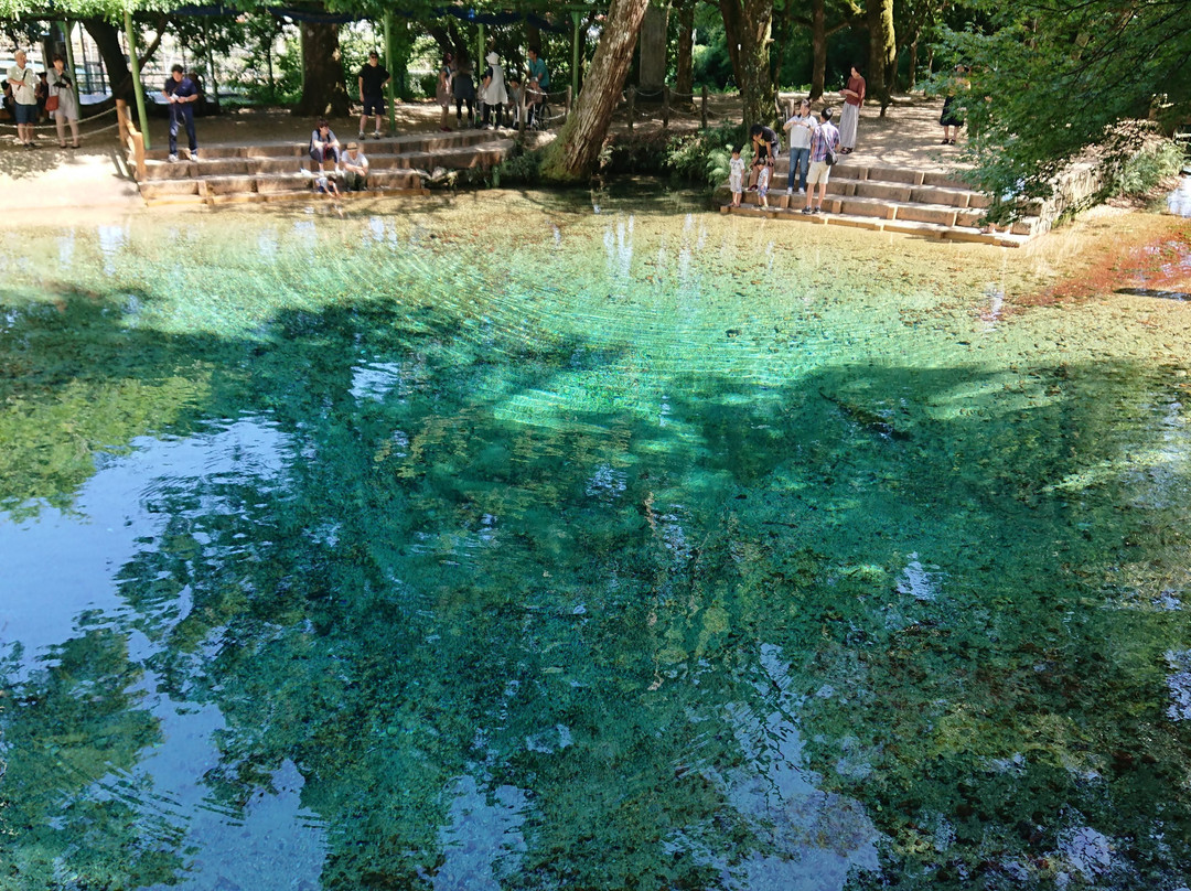 別府弁天池湧水-美祢市必去景点