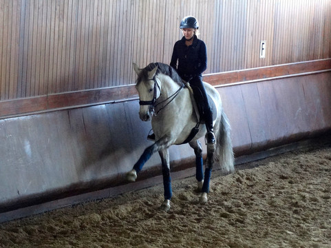 Lusitanos Riding Centre-Alenquer必去景点