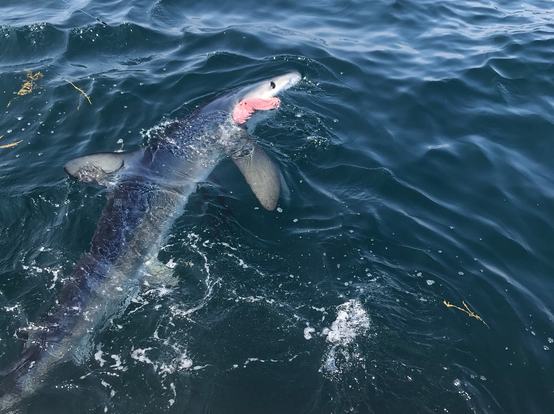Fishing on the Deborah Ann-巴斯必去景点