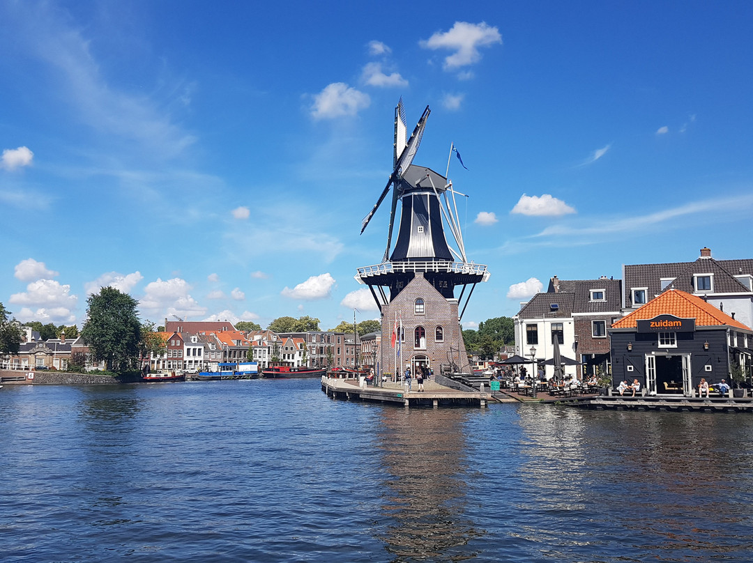 荷兰旅游攻略图片