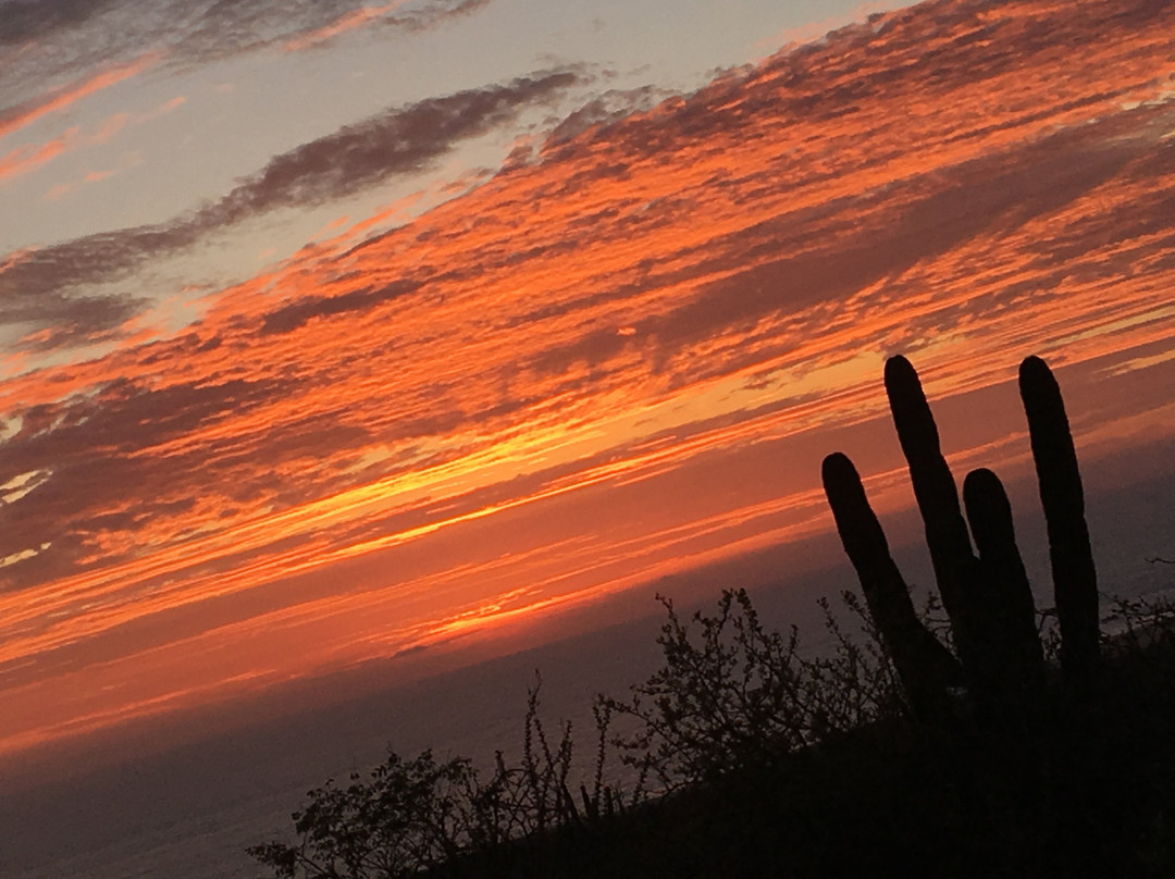 Playa Cerritos旅游攻略图片