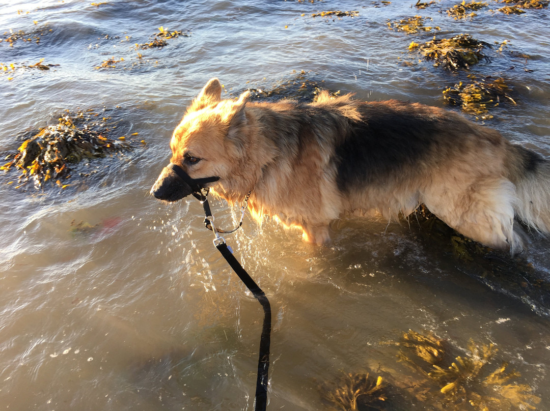 Llwyngwril Beach-Llwyngwril必去景点