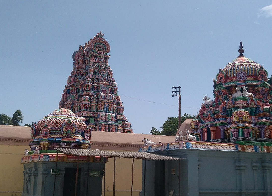Sri Someswar Temple景点图片