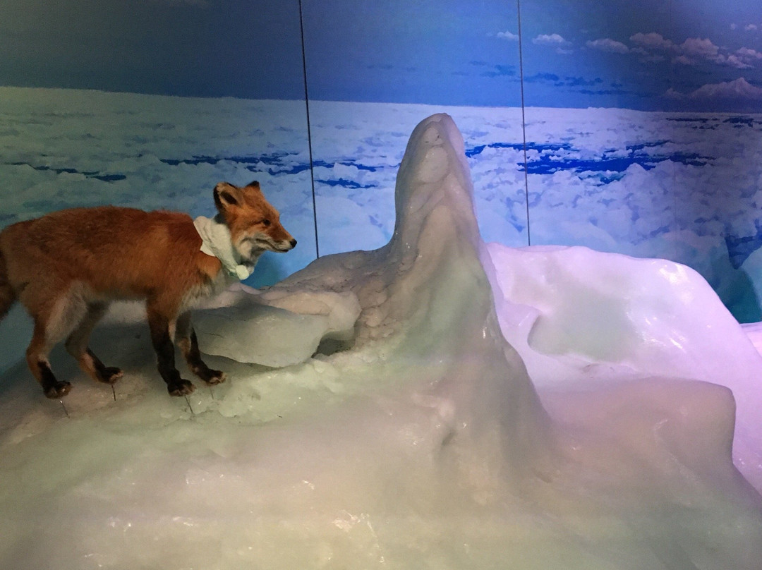 鄂霍次克流冰馆-网走市必去景点