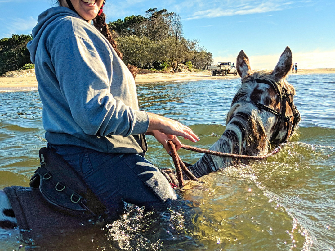 Noosa Horses景点图片