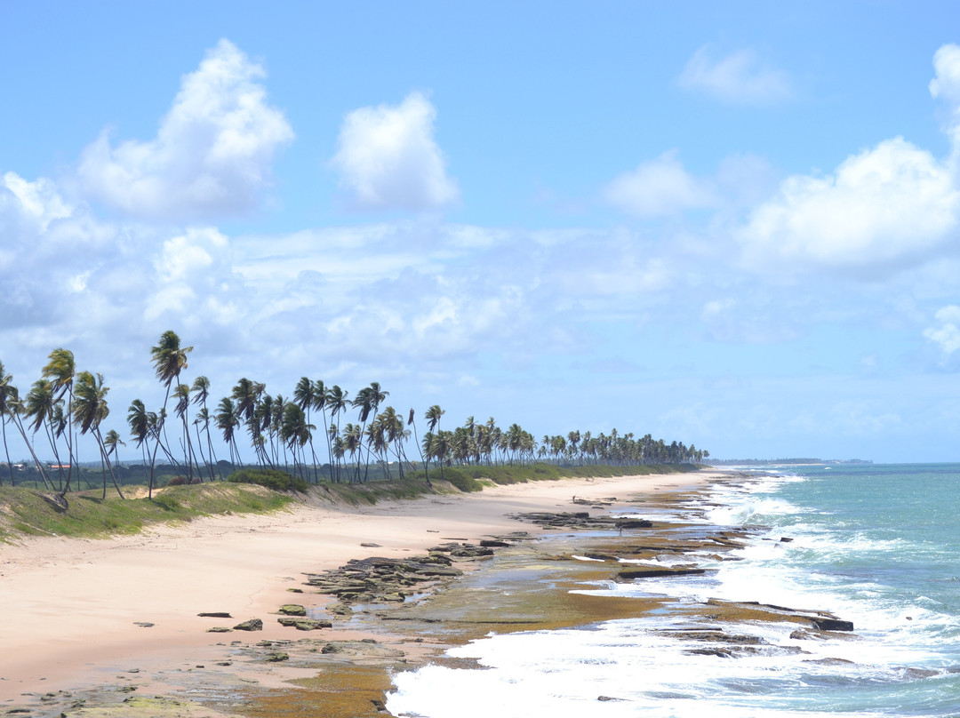 MM Brasil Private Tours-Camacari必去景点