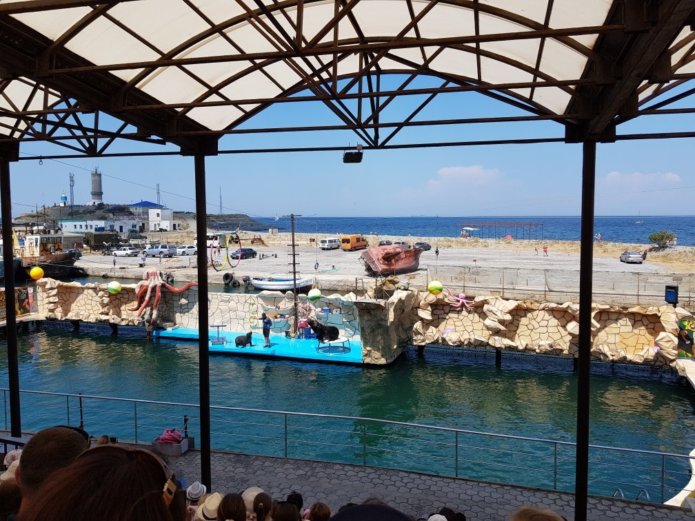 Anapa Dolphinarium in Bolshoye Utrishe-Sukko必去景点