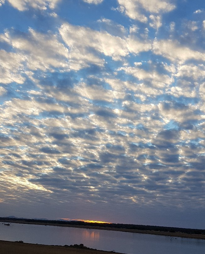 Vaalkop Dam Nature Reserve旅游攻略图片