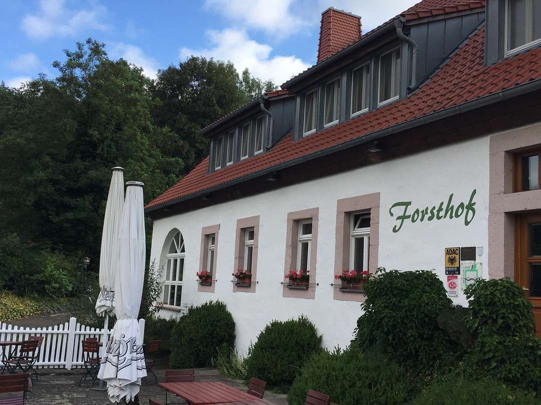 Forsthof Hotel-Restaurant主图