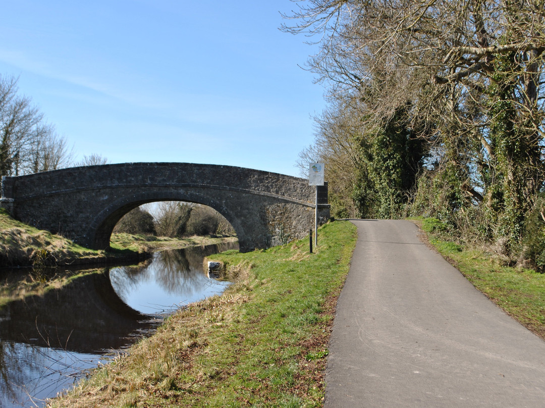 Offaly Grand Canal Greenway景点图片