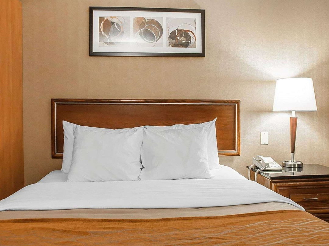 Comfort Inn Simcoe主图