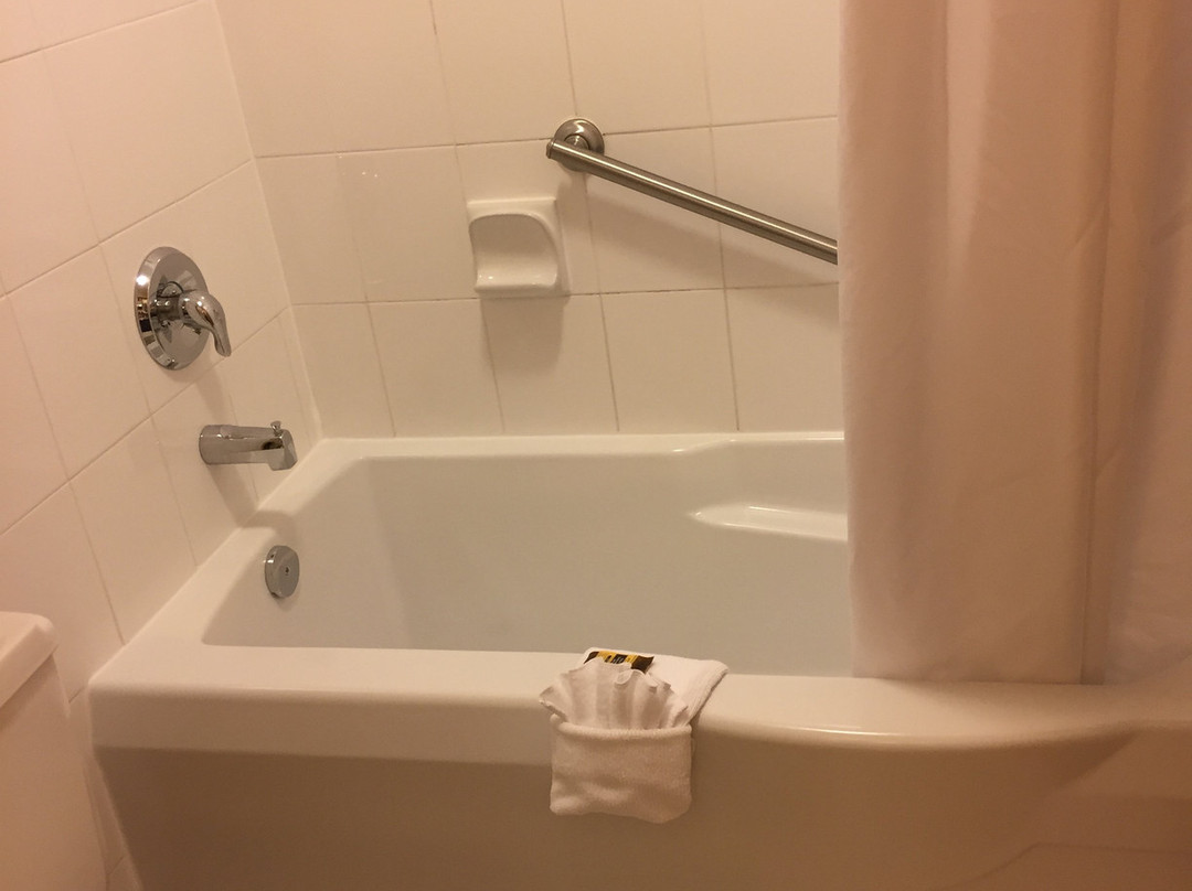 Best Western Plus Langley Inn主图