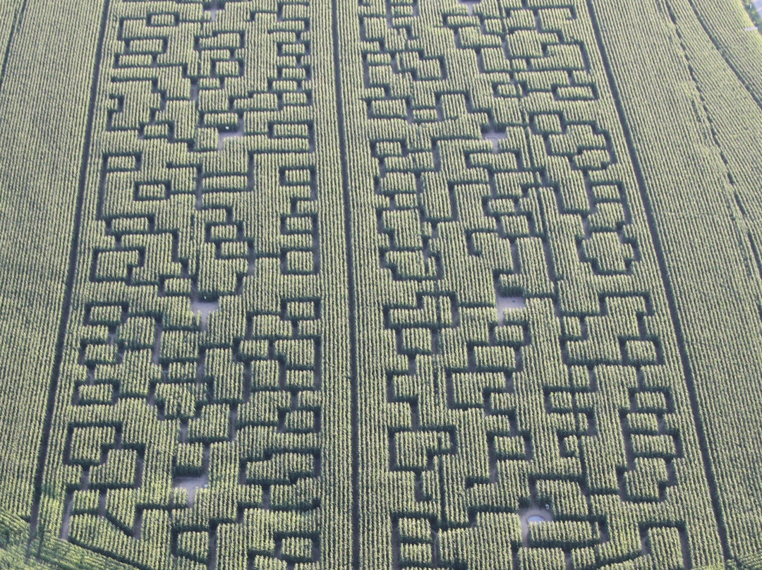Pop Corn Labyrinthe-Guerande必去景点