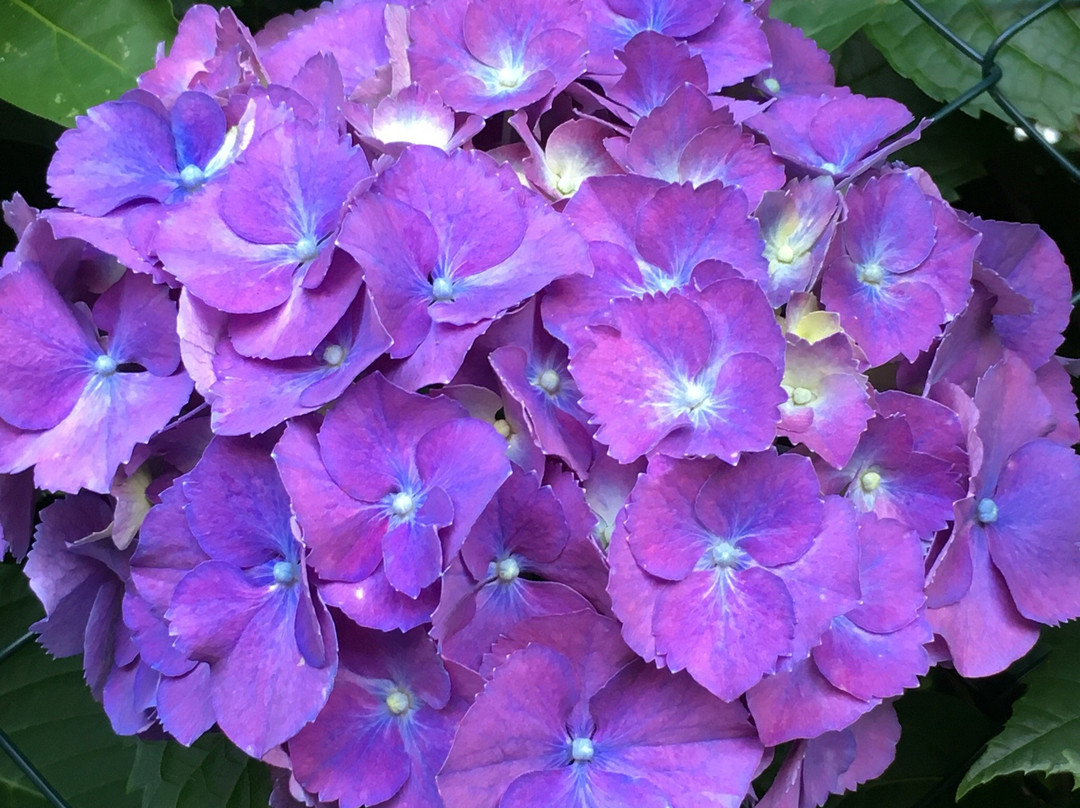 B&B Casa Kinka主图