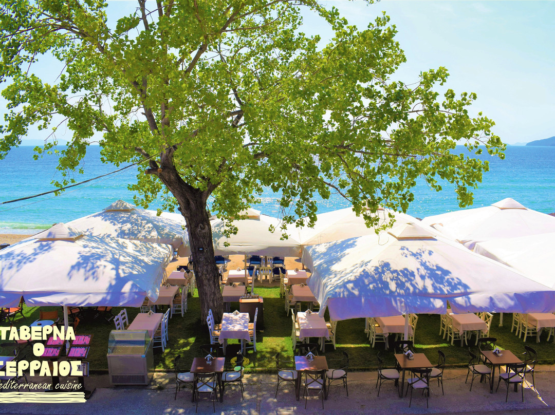 Rhapsody House主图