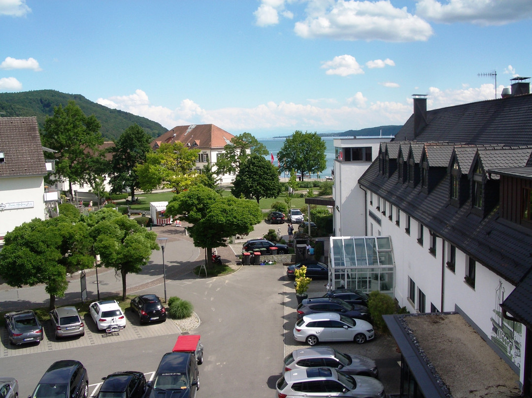 Seehotel Adler主图