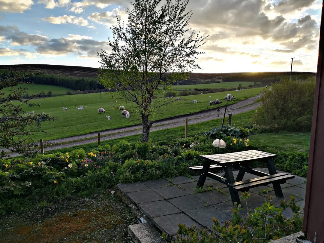 Glenlivet Wildlife-Glenlivet必去景点